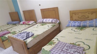 غدًا.. انطلاق امتحانات الدبلومات الفنية في الفيوم بمشاركة 40 ألف طالب