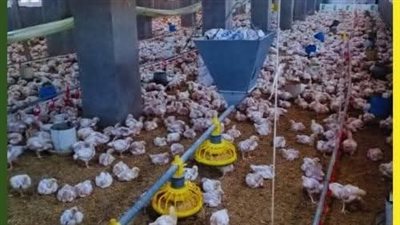 محافظ الإسماعيلية يتابع أنشطة مديرية الزراعة في المحافظة |صور