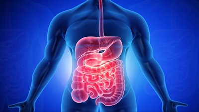 ابدأ يومك بكوب ماء.. سر صحة الجهاز الهضمي في يومه العالمي