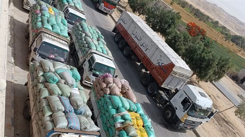 توريد محصول القمح