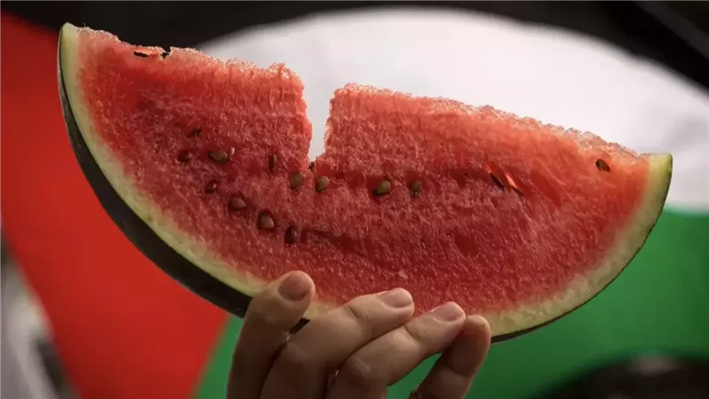 بطيخ