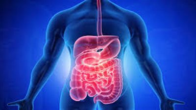 طبيب يقدم روشتة لمواجهة أمراض الجهاز الهضمي والوقاية من أمراض القولون