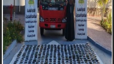 ضبط ترسانة أسلحة نارية و3 عناصر إجرامية في حملة أمنية بالمحافظات