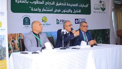 النخل والزيتون في المقدمة.. 21 توصية من المؤتمر الأول لاتحاد مزارعي المغرة 