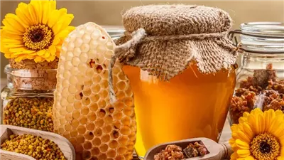 خبير زراعى يرد على شائعة العسل المغشوش بـ 4 نقاط حاسمة