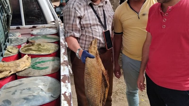 حملات تفتيشية بالمنيا