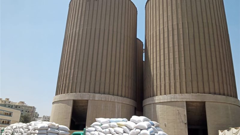 مطاحن مصر الوسطى
