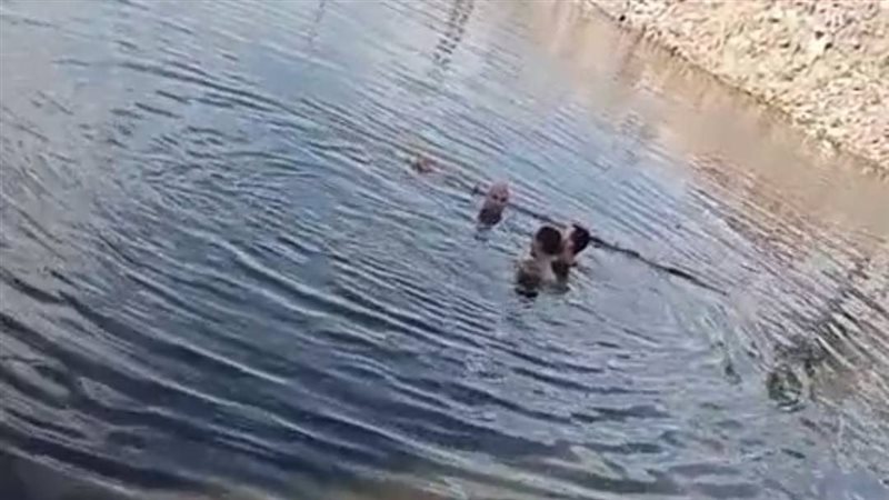 سقوط سيارة فى ترعة