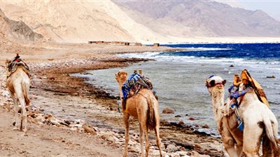 «لعبة كل سنة».. إسرائيل تحث مواطنيها على تجنب السفر إلى سيناء