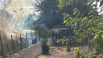 نفوق 3 رؤوس ماشية في حريق مزرعة مواشي بكفر محفوظ في الفيوم