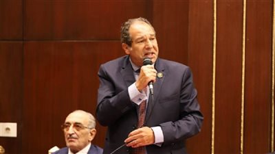 حسام الخولي : دور النائب تغيّر جذريًا بعد 2011 في العلاقة بين المواطن والدولة