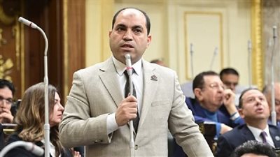 عمرو درويش : السياسة ليست ترفاً .. وتنسيقية الشباب تجربة فريدة 