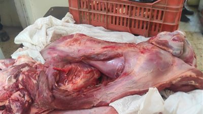 ضبط لحوم غير صالحة للاستهلاك الآدمي خلال حملة تموينية بأسيوط 