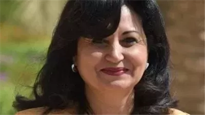 خبير علاقات دولية: لا نراهن على وقف المساعدات الأمريكية لإسرائيل   