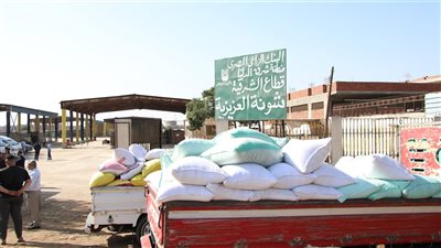 وزير الزراعة: الدولة تقدم كافة الدعم لمزارعي القمح بإعتباره محصول استراتيجي 