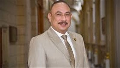 برلمانى يثمن تعهدات الحكومة بعدم تخفيف أحمال الكهرباء خلال الصيف