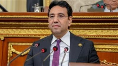 النائب أيمن محسب: مصر لم ولن تكون يوما ضد أي تحرك شعبي أو حقوقي داعم لفلسطين