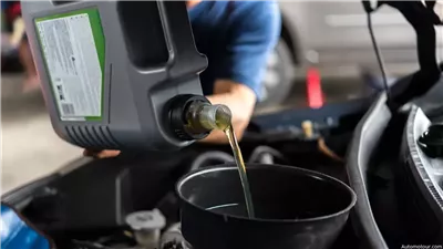 سقوط مستريح حلوان.. استولى على 19 مليون جنيه لتوظيفها فى تجارة الزيوت 