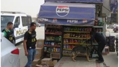 حملات أمنية تضرب أوكار المخدرات بجوار المدارس والجامعات وتضبط 64 متهما| صور