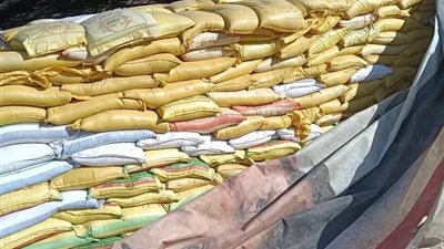 ضبط 22 طن قمح غير صالح للاستخدام الآدمي وتحرير 11 مخالفة ببنى سويف 