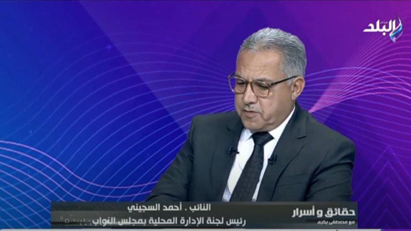 النائب أحمد السجيني
