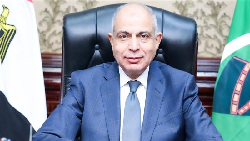محافظ المنيا