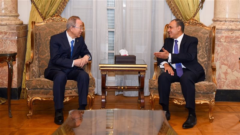 بدر عبد العاطي وزير