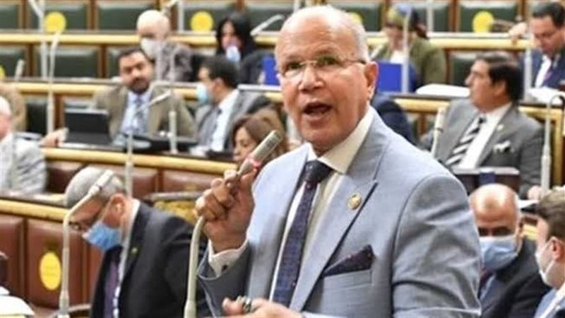 النائب السيد شمس