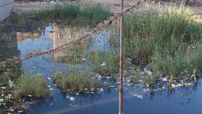شط جريبة قرية في دمياط تغرق شوارعها بالصرف الصحي صيفا وشتاءً بسبب الإهمال |صور
