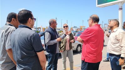 جهود مكثفة للإسكان وشركات المياه والصرف لاحتواء تجمعات الأمطار بالإسكندرية