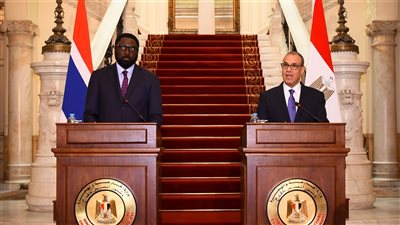 وزير الخارجية والهجرة يجرى مشاورات سياسية مع وزير خارجية جامبيا