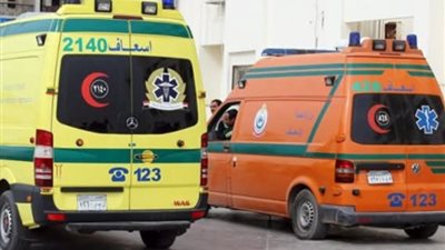 إصابة 12 شخصا إثر انقلاب سيارة محملة بالعمالة الزراعية بالبحيرة