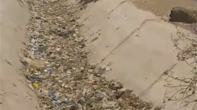 مأساة انقطاع مياه الري تهدد أراضي قرية الطوايل بسوهاج بالبوار |صور