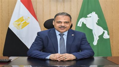 محافظ الشرقية: قطع المرافق عن المنازل المقامة على أملاك الدولة