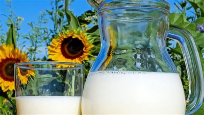 فى يوم الحليب العالمي.. ما هي فوائد تناول كوب يومياً على الريق؟