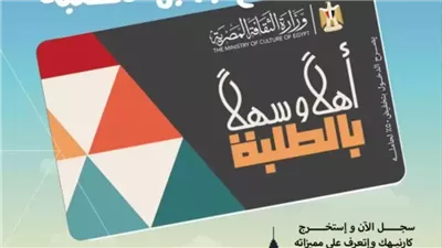 قطاع الفنون التشكيلية بوزارة الثقافة يكشف تفاصيل مبادرة 