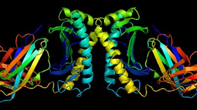 دراسة: الجين الشائع H63D يضاعف خطر الخرف لدى الرجال فقط