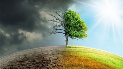 موجة حر قادمة تهدد الصحة والزراعة.. نصائح للتعامل معاها 