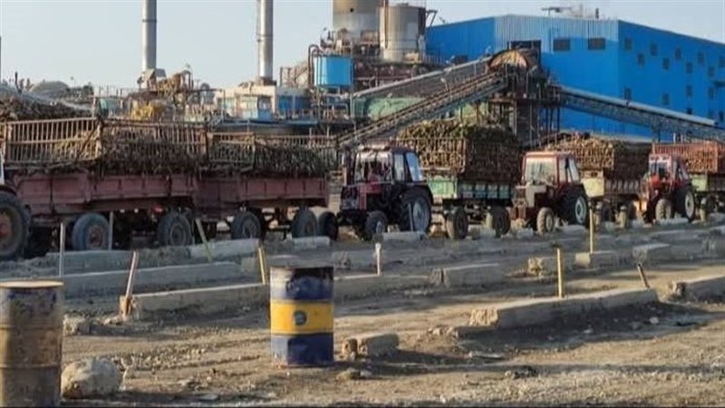 مصنع السكر بالفيوم