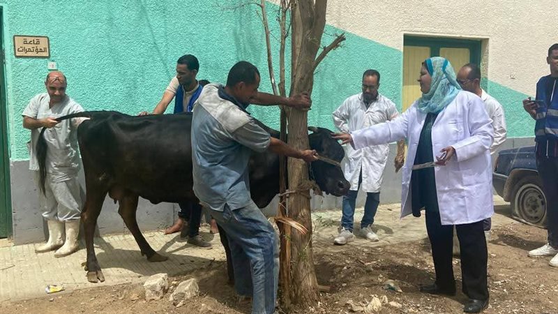جانب من الاستعدادات