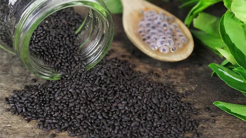 مقارنة بين بذور الريحان