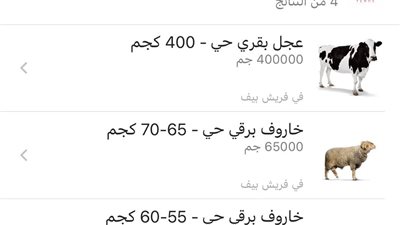 الأضاحي بقت أونلاين.. مواقع إلكترونية تعرض الأبقار والخراف للبيع عن بعد