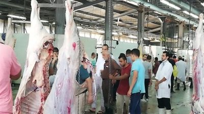 محافظ الجيزة: فتح 23 مجزرًا مجانًا أمام المواطنين خلال أيام عيد الأضحى