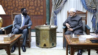 شيخ الأزهر لـ وزير خارجية جامبيا: الكيان الصهيوني أثبت أنه ضد الإنسانية