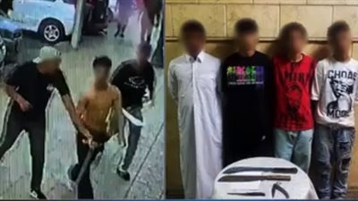 اعتداءات بأسلحة بيضاء في حديقة عامة بالقاهرة.. ضبط 4 متهمين بمعاكسة الفتيات