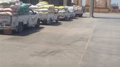 توريد أكثر من 58 ألف طن قمح لصوامع الغلال بالشرقية منذ بدء الموسم 