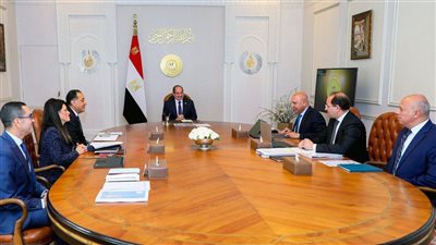 الرئيس السيسي يتابع تطورات إنشاء محطتي الصب الجاف بميناء أبو قير 