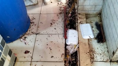 قبل عيد الأضحي.. إعدام 303 كيلو لحوم غير صالحة للاستهلاك الآدمي بالسويس