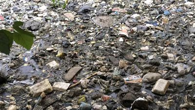 ترعة بوهة شطانوف بالمنوفية مرتع للحشرات والثعابين.. والأهالي: بنموت كل يوم