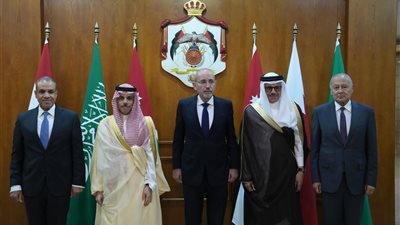 وزير الخارجية يؤكد موقف مصر من رفض التهجير ودعم الدولة الفلسطينية